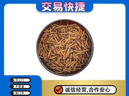 红河州建水县礼品回收虫草.jpg